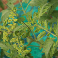 085003_20181016103039_04.JPG