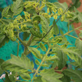 085003_20181016103040_03.JPG