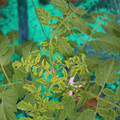 085003_20181016103122_01.JPG
