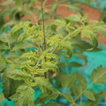 085003_20181016103145_04.JPG