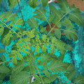 085003_20181016103158_01.JPG