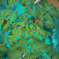 085003_20181016103159_01.JPG