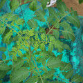 085003_20181016103159_03.JPG