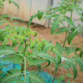 085003_20181016103204_02.JPG