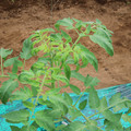 085003_20181016103211_01.JPG