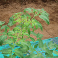 085003_20181016103211_02.JPG
