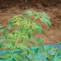 085003_20181016103212_01.JPG