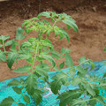 085003_20181016103214_04.JPG