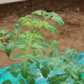 085003_20181016103215_01.JPG