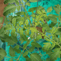 085003_20181016103226_02.JPG