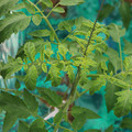 085003_20181016103229_03.JPG