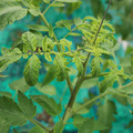 085003_20181016103231_01.JPG