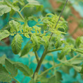 085003_20181016103231_04.JPG