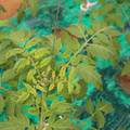 085003_20181016103241_03.JPG