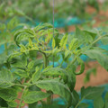085003_20181016103252_02.JPG