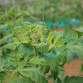 085003_20181016103253_04.JPG