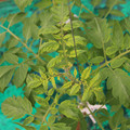 085003_20181016103259_01.JPG