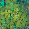 085003_20181016103329_01.JPG