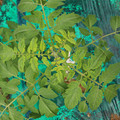 085003_20181016103329_02.JPG