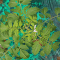 085003_20181016103329_03.JPG