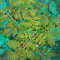 085003_20181016103330_01.JPG