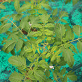 085003_20181016103330_03.JPG