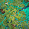 085003_20181016103340_05.JPG