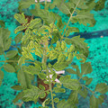 085003_20181016103342_01.JPG