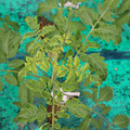 085003_20181016103342_03.JPG