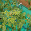085003_20181016103347_02.JPG