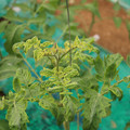 085003_20181016103348_02.JPG