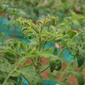 085003_20181016103357_02.JPG