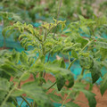 085003_20181016103357_03.JPG