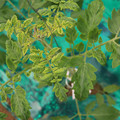 085003_20181016103406_03.JPG