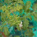 085003_20181016103407_02.JPG