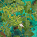 085003_20181016103407_03.JPG