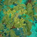 085003_20181016103408_01.JPG