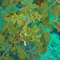 085003_20181016103408_03.JPG