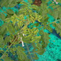085003_20181016103408_04.JPG