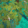 085003_20181016103409_01.JPG