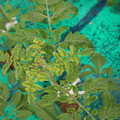 085003_20181016103409_04.JPG