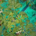 085003_20181016103410_02.JPG