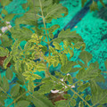 085003_20181016103410_03.JPG