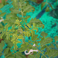 085003_20181016103410_04.JPG