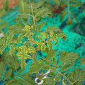 085003_20181016103411_01.JPG