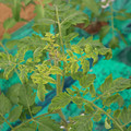 085003_20181016103411_03.JPG