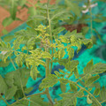 085003_20181016103411_04.JPG