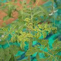 085003_20181016103411_05.JPG