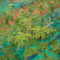 085003_20181016103412_02.JPG