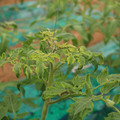 085003_20181016103413_01.JPG